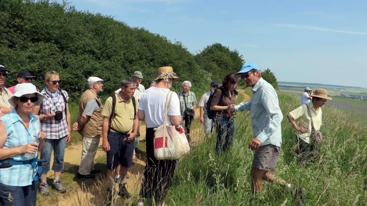 En_chemin_sur_l_ancienne_voie_romaine_de_la_Cote_Delme-1200