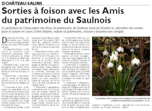 PDF-Page_30-edition-de-sarrebourg_20140326-500