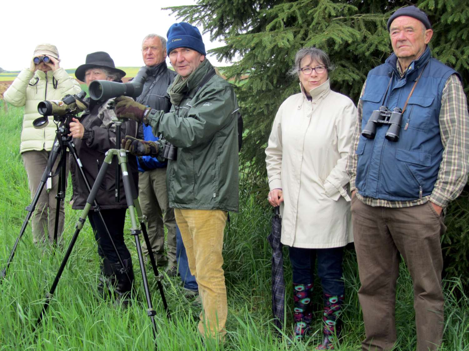 14_05_03_Hirtz_Marsal_oiseaux_sortie_ASP_001-1500